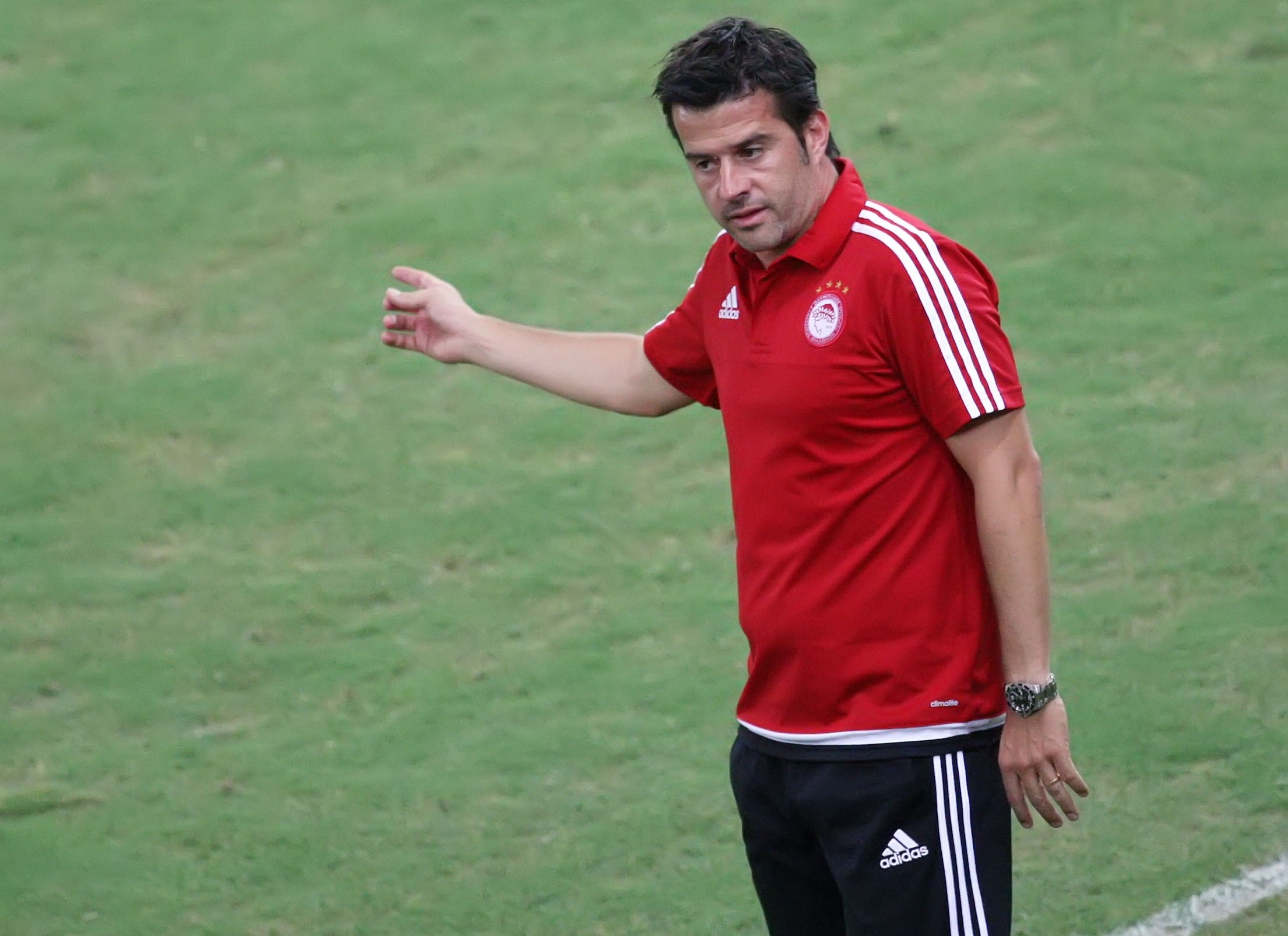 silva.[1]